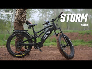 Bakcou Storm | E-Bike
